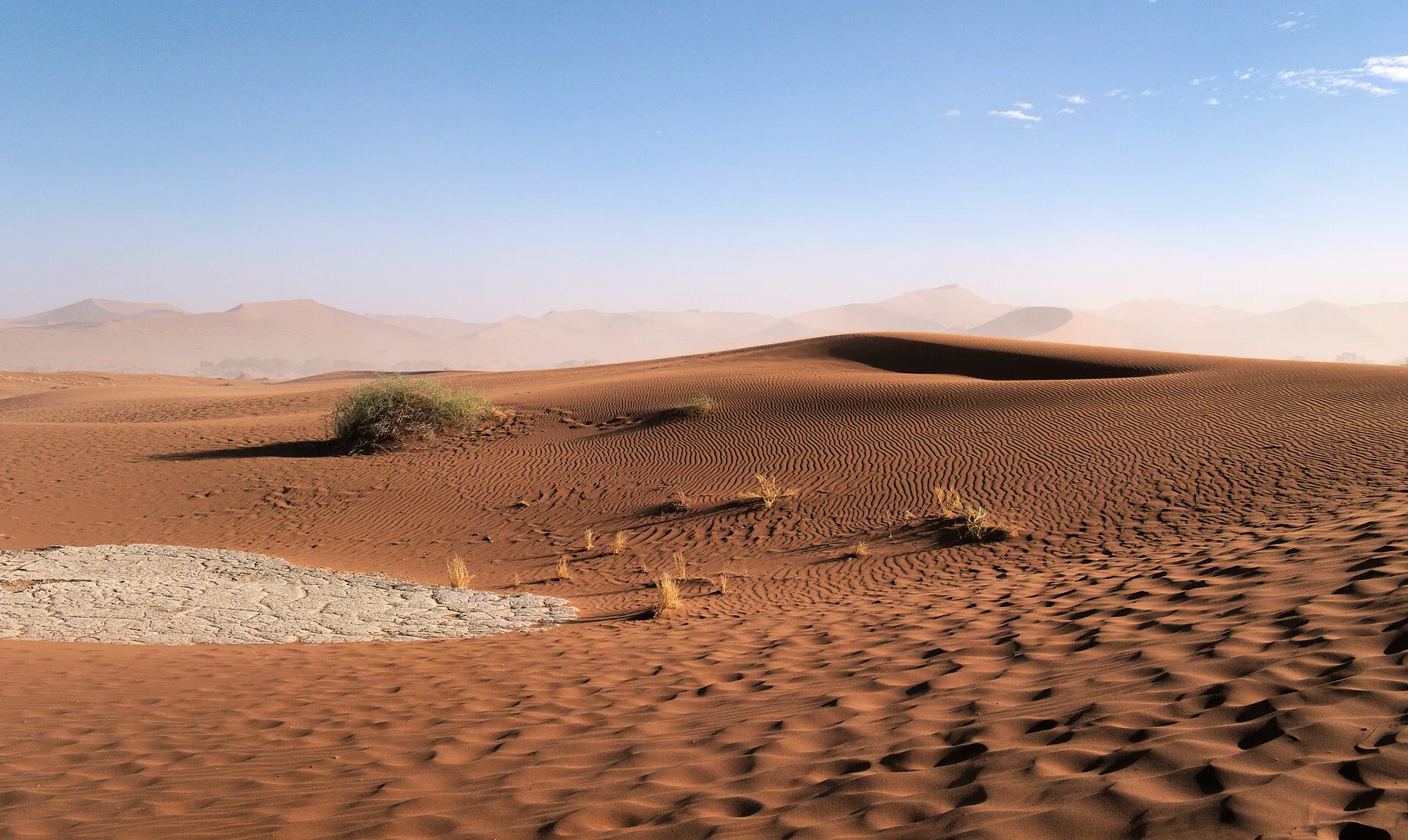 Rippled sand on a dune in Sossusvlei